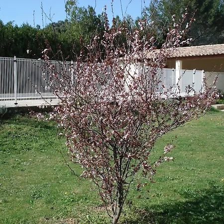Bed & Breakfast L'oustalet De Sylvie Villeneuve-lès-Avignon